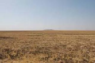 The country's one-tenth of the land is desert | भारताची एकचतुर्थांश जमीन वाळवंट होतेय