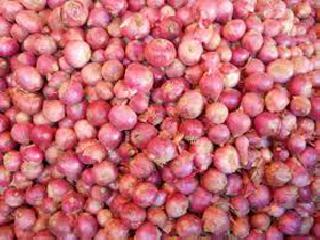 13 kg of onion in Nashik! | नाशिकमध्ये कांदा 13 रूपये किलो!