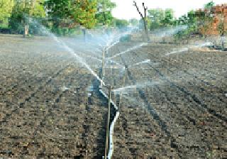 Rohini-raga's rash, humor's hope | रोहिणी-मृगाचा दगा, आर्द्राची आशा