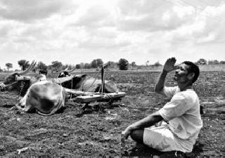The crisis of drought sowing | दुबार पेरणीचे संकट