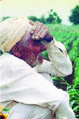 Baliaraja nervous | बळीराजा चिंताग्रस्त