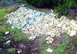 Diseases of the pandemic | रोगराईचे दुष्टचक्र Diseases of the pandemic | रोगराईचे दुष्टचक्र