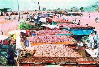 Vegetable arrivals dropped by 40 percent | पालेभाज्यांची आवक ४० टक्क्यांनी घटली