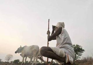 Now look at the sky | आता नजरा आकाशाकडे