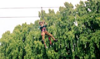 Valley Traping | व्हॅली ट्रॅपिंग