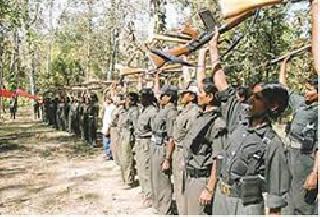 Annual collection of Naxalites is 100 crores | नक्षल्यांची वार्षिक वसुली १०० कोटींची Annual collection of Naxalites is 100 crores | नक्षल्यांची वार्षिक वसुली १०० कोटींची