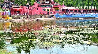 Rotten vegetables in the river bed | नदीपात्रात सडलेल्या भाज्या