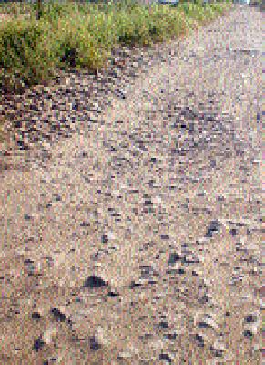 Work on the road of Panand; Fear of farmers | पाणंद रस्त्याचे काम रखडले; शेतकऱ्यांत संताप Work on the road of Panand; Fear of farmers | पाणंद रस्त्याचे काम रखडले; शेतकऱ्यांत संताप