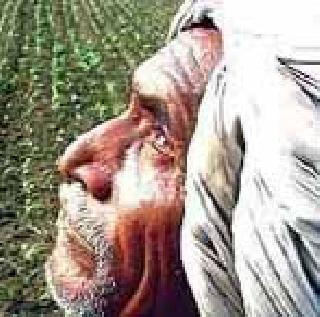 A farmer would be havoc | शेतकरी झाला हवालदिल