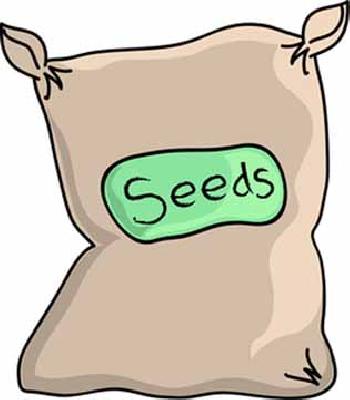 Bogas BT wallet at 300 rupees! | बोगस बीटीचे पाकीट तीनशे रुपयात !