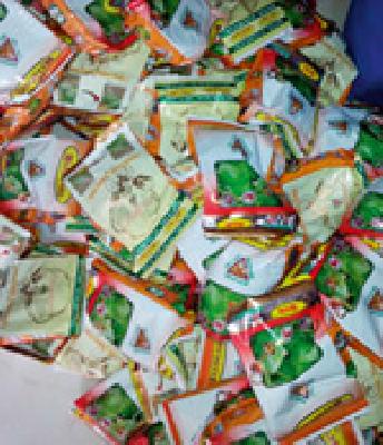 Investigation of bogus seeds of 30 crores in cold storage | ३० कोटींच्या बोगस बीटी बियाण्यांचा तपास थंडबस्त्यात