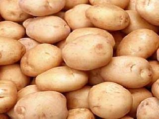 Now the Center's intervention on potato exports | बटाटा निर्यातीवरही आता केंद्राचे र्निबध