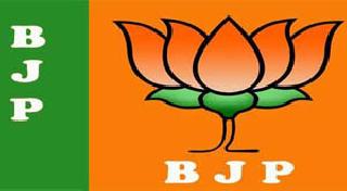 BJP has two seats and NCP has a place | भाजपाला दोन तर राष्ट्रवादीला एक जागा BJP has two seats and NCP has a place | भाजपाला दोन तर राष्ट्रवादीला एक जागा