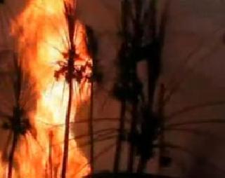 15 killed in Andhra blast gas pipeline blast | आंध्रात गॅस पाइपलाइनच्या स्फोटात 15 ठार