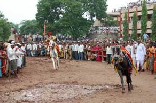 First Searcher | सोमेश्वरनगरला रंगले पहिले अश्वरिंगण