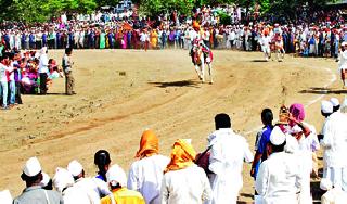 In the Belgaum, Ashwarinen paid back the eyes | बेलवाडीत अश्वरिंगणाने फेडले डोळय़ांचे पारणे