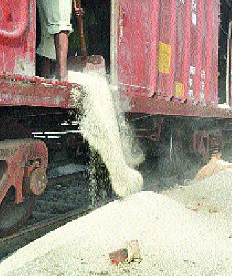 Even when the grain waste will stop? | धान्याची नासाडी थांबणार तरी कधी ?