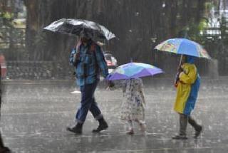 In June only 41% rain | जूनमध्ये केवळ 41 टक्केच पाऊस In June only 41% rain | जूनमध्ये केवळ 41 टक्केच पाऊस