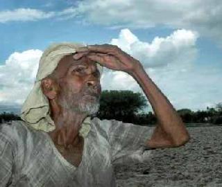 Due to drought in Akola district | अकोला जिल्हय़ात दुष्काळाचे सावट Due to drought in Akola district | अकोला जिल्हय़ात दुष्काळाचे सावट