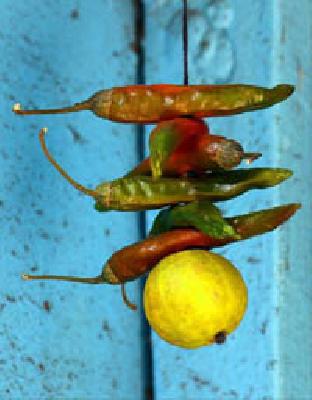 Four inmates in Mumbai | जादूटोणाप्रकरणी मुंबईतील चौघे अटकेत Four inmates in Mumbai | जादूटोणाप्रकरणी मुंबईतील चौघे अटकेत