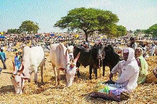 Center for Merchants in six states 'Vadodabazar'! | सहा राज्यांतील व्यापाऱ्यांचे केंद्र ‘वडोदबाजार’ !