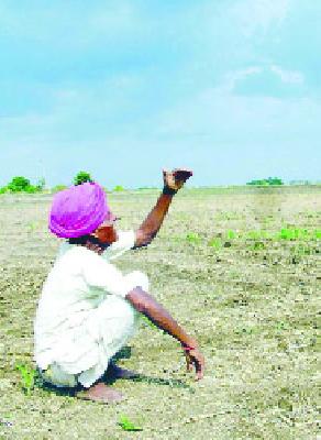 Give it to me, look at the clouds in the underarm ... | मृगाने दिला दगा, आर्द्रातही ढगांकडे बघा...