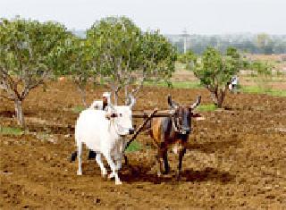 Poets want the power to live | बळीराजाला हवे जगण्याचे बळ