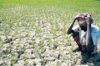 Eliminating the eligibility conditions of the crop loan allocation process | पीक कर्ज वाटप प्रक्रियेतील जाचक अटी दूर करणार
