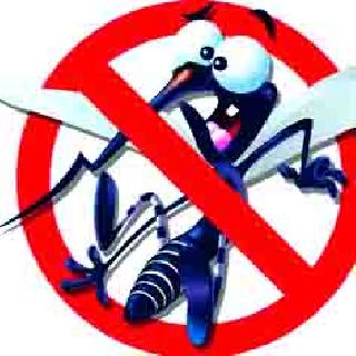 Action on 'that contractor' | ‘त्या’ ठेकेदारावर कारवाई