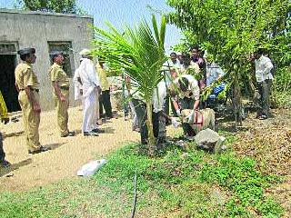 Thieves; Women are seriously injured | चोरट्यांची मारहाण; महिला गंभीर जखमी