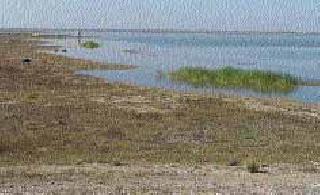 'Manjra' has reached the bottom | ‘मांजरा’ने तळ गाठला