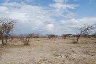 Free the path of 'SRA' in government space | सरकारी जागेवरील ‘एसआरए’चा मार्ग मोकळा