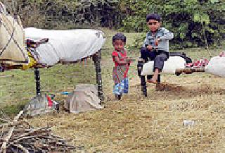 Night with snakes | सापांच्या सान्निध्यात काढतात रात्र