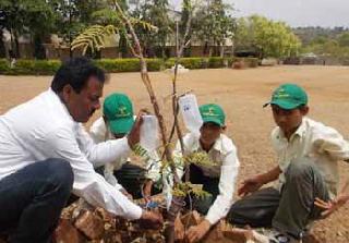Drip irrigation through waste bottles | टाकावू बाटल्यांव्दारे ठिबक सिंचन