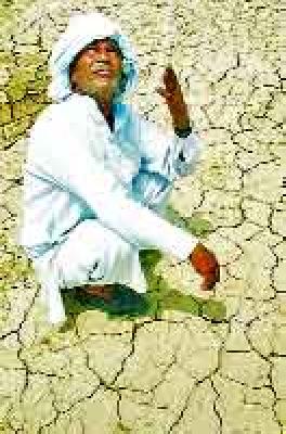 Sowing sown in the crisis! | नाशकात पेरण्या संकटात !