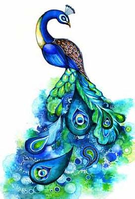 Peacock hunting in the salon forest | सैलानी वनपरिक्षेत्रात मोराची शिकार Peacock hunting in the salon forest | सैलानी वनपरिक्षेत्रात मोराची शिकार