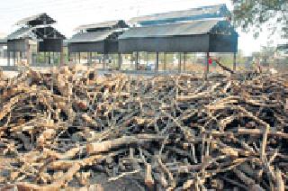 Councilors' recommendation for wood on the slopes | घाटांवरील लाकडांसाठीही नगरसेवकांचे शिफारसपत्र