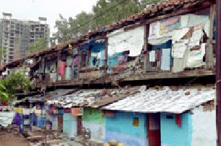 What is the danger in life? | जीव धोक्यात कशासाठी ?: