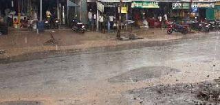 Rain in the rainy season | लोणारात पावसाची हजेरी