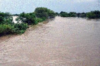 The farmer has dried | शेतकरी सुखावला The farmer has dried | शेतकरी सुखावला