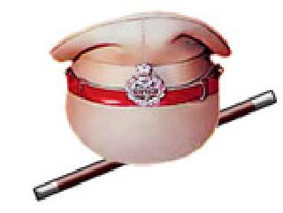 Ajnie in the Ganges! | गँगवारच्या दहशतीत अजनी!