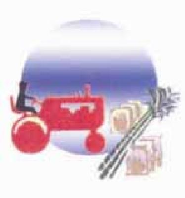 G.P.Party Work Stop | ग्रा.पं.स्तरावरील कामकाज ठप्प