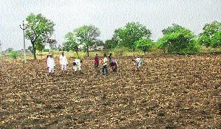 Hope of the farmers of the district flourished | जिल्ह्यातील शेतकऱ्यांच्या आशा पल्लवित