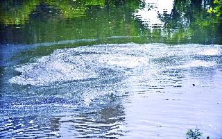 Mud polluted | गोदा प्रदूषित