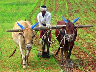 Farmer: The Expectation of | शेतक:यांचा अपेक्षाभंग