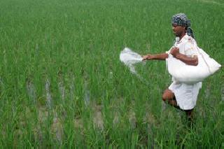 The urea policy will change | युरिया धोरण बदलणार