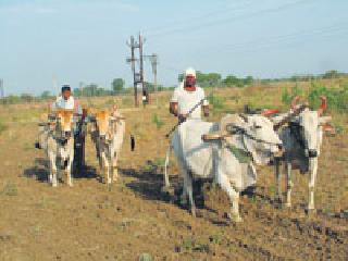 Farmers benefit two crore! | शेतकऱ्यांना दोन कोटींचा विमा लाभ!