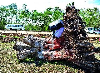 Due to tree plantation this area has developed. | वृक्षतोड केल्याने हा परिसर भकास झाला आहे. Due to tree plantation this area has developed. | वृक्षतोड केल्याने हा परिसर भकास झाला आहे.