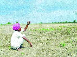 The look of the victims in the sky | बळीराजाच्या नजरा आकाशाकडे