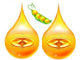 Six lakh soyabean oil lamps | सहा लाखांचे सोयाबीन तेल लंपास Six lakh soyabean oil lamps | सहा लाखांचे सोयाबीन तेल लंपास